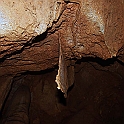 M 08
